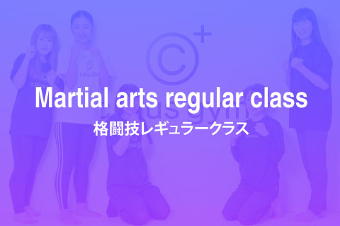 格闘技レギュラークラス